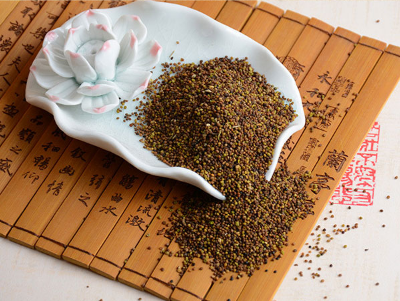 image 菟丝子