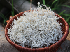 莓茶的功效与作用禁忌 5种功效3种禁忌