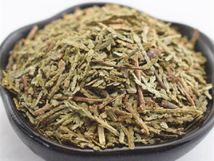 侧柏叶的药用价值 介绍四种药用价值