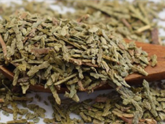 侧柏叶的用法及用量 介绍四种用法和用量