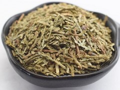 侧柏叶泡水喝禁忌 四个禁忌要注意