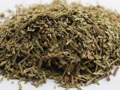 侧柏叶洗头案例 侧柏叶洗头失败原因