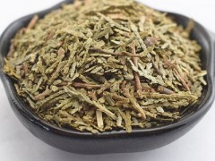 侧柏叶泡酒的方法 侧柏叶泡酒的注意事项