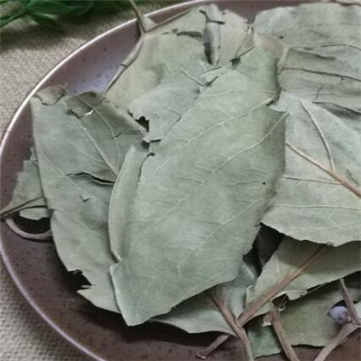 image 柿叶茶