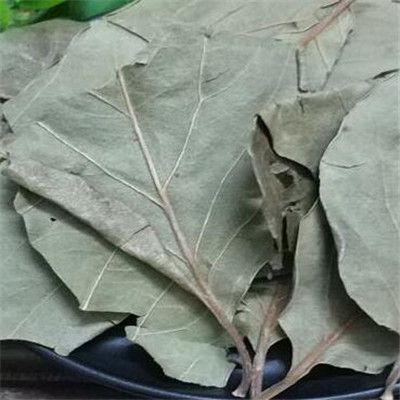 image 柿叶茶