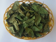 柿叶祛斑膏的制法 3步制作柿叶祛斑膏