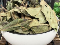 柿叶茶的禁忌 详解柿子叶的禁忌与作用