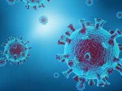 新型冠状病毒传播途径 三种传播途径需知晓