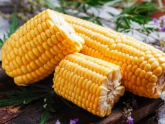 玉米须煮水的功效与作用 玉米须煮水的注意事项