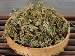 地丁草泡水喝的功效与作用 地丁草的注意事项
