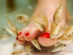 鱼疗的好处和功效 详解鱼疗的三大功效