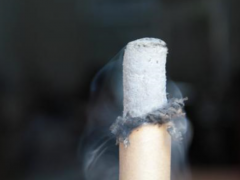 艾灰的功效与作用 带你认识艾灰的三大功效