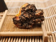 桦树茸食用方法 详解桦树茸的三种吃法