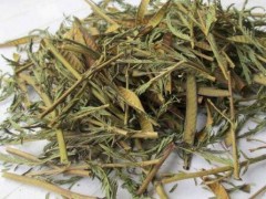 铁甲草泡水喝的功效 三大功效很重要
