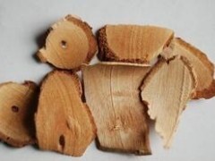 铁甲草的功效与作用 解锁铁甲草的三大功效