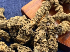 缬草根对肝脏的作用如何 详解缬草根的五大作用
