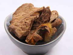金毛狗脊的药用功效 这三大功效不能忘