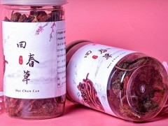 回春草的功效与作用及食用方法 回春草这样服用效果才好