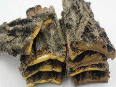 核桃树皮的功效与作用 分享核桃树皮的五大好处