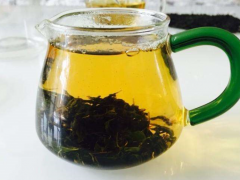 辣木茶的功效 解说辣木茶的三大功效