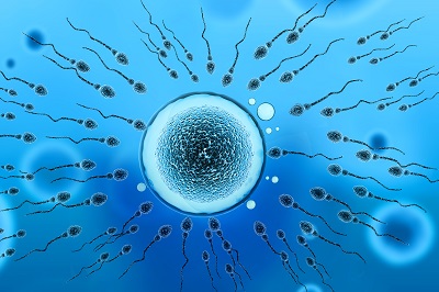 image 精子