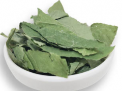 世界八大壮阳植物 壮阳植物怎么吃