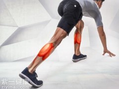如何锻炼腿部肌肉 四种方法让你腿部拥有迷人肌肉