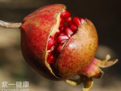 维生素C的食物来源有哪些 揭晓维生素C的三大食物来源