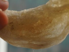 燕窝应该是什么颜色 为您揭秘燕窝的颜色