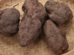 白头发吃什么能变黑  4种食物让你告别白头发