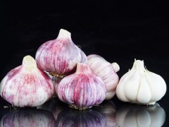 生大蒜一招治痛风方法 教你正确使用大蒜