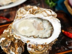 补锌食物排行榜8强 补锌最好的八种食物