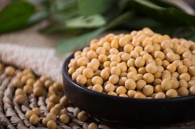 image 黄豆