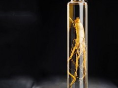 变粗变大壮阳中药配方 两个常见民间配方