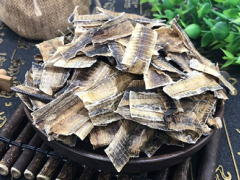 地龙是什么东西 地龙的作用有哪些