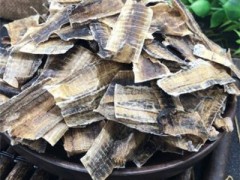 地龙干有哪些作用与功效 介绍地龙干的四大功效