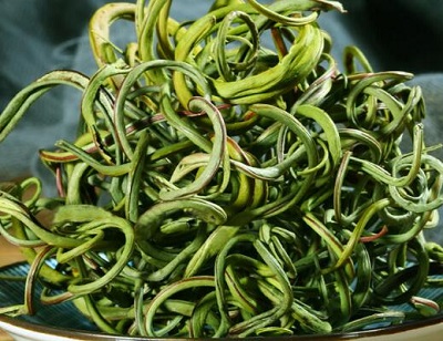 化石草