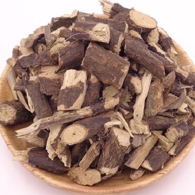 中药黑骨头的功效有哪些 重点介绍它的四点功效