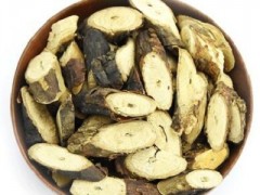 中药黑骨头的功效有哪些 重点介绍它的四点功效