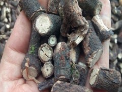 使用黑骨藤的方法是什么 推荐三种常见用法