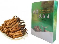 虫草鹿鞭王胶囊功效与作用 揭秘四大真实功效