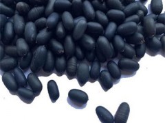 双肾子的功效作用及用法是什么 介绍两大功效和用法