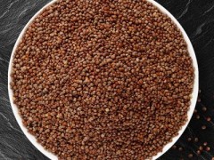紫苏籽怎么食用方法 介绍紫苏籽吃法与作用
