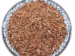 长期食用紫苏子有什么功效 长期吃的三大功效你知道吗