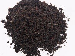 舂药最实用的制作方法 介绍三个春药制作方法