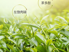 茶多酚的作用 详解茶多酚的三大作用