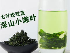 绞股蓝价格2019 绞股蓝的作用