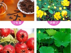宁红牌优优茶说明书 介绍优优茶的成分与功效和用法