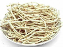 鱼腥草的功效