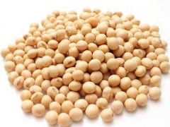 大豆提取物价格